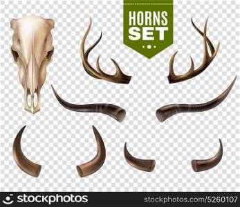 Cow Skull And Horns Set. Realistic set of cow skull and horns of different shape isolated on transparent background vector illustration