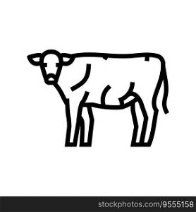 cow standing li≠icon vector. cow standing sign. isolated contour symbol black illustration. cow standing li≠icon vector illustration