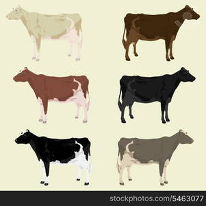 Cow3. Some cows on a farm of different colouring. A vector illustration