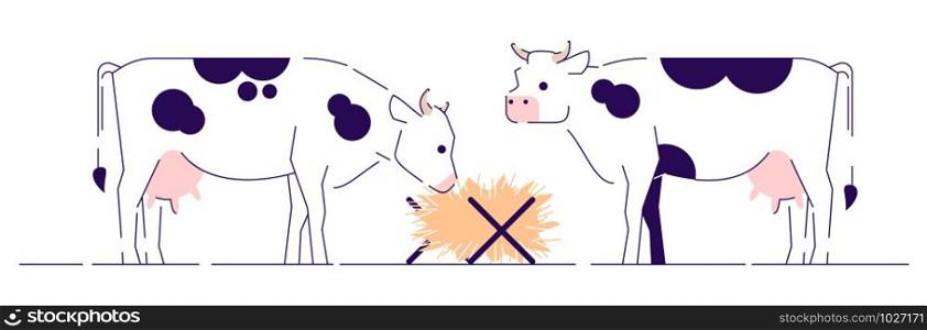 Cows feeding flat vector illustration. Cattle farming, animal husbandry and breeding cartoon concept with outline. Dairy farm. White cows with black spots eating hay side view isolated on white