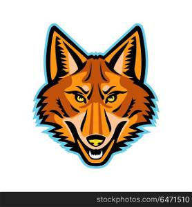 Coyote Head Front Mascot. Mascot icon illustration of head of a coyote or Canis latrans, a canine native to North America viewed from the front on isolated background in retro style.. Coyote Head Front Mascot