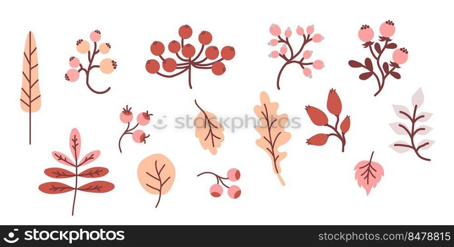 Cozy autumn. Colored set of decorative autumn drawings. Harvest - Various leaves, twigs, fruits and berries. Use for fall design and decoration. Vector. Isolated objects on white background