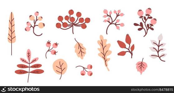 Cozy autumn. Colored set of decorative autumn drawings. Harvest - Various leaves, twigs, fruits and berries. Use for fall design and decoration. Vector. Isolated objects on white background