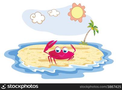 crab funny posing at the beach
