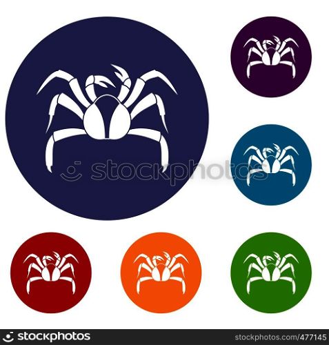 Crab sea animal icons set in flat circle red, blue and green color for web. Crab sea animal icons set