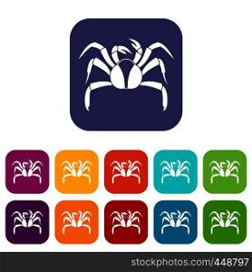 Crab sea animal icons set vector illustration in flat style In colors red, blue, green and other. Crab sea animal icons set flat