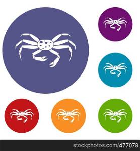 Crab seafood icons set in flat circle red, blue and green color for web. Crab seafood icons set