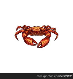 Crab sketch isolated underwater animal. Vector marine crustacean with claws and shell. Hand drawn crab sketch isolated marine animal