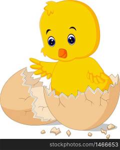Cracked egg with cute bird inside