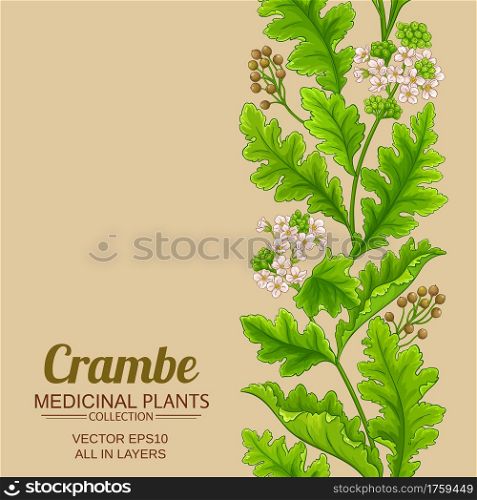 crambe vector pattern on color background. crambe pattern on color background