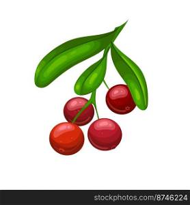 cranberry berry cartoon. food organic, fresh leaf, cowberry red, natural ripe, cranberries cranberry berry vector illustration. cranberry berry cartoon vector illustration