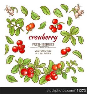 cranberry elements vector set. cranberry elements vector set on white background