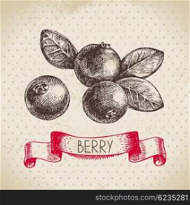 Cranberry. Hand drawn sketch berry vintage background. Vector illustration of eco food