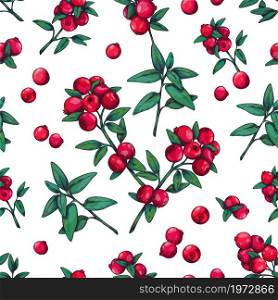Cranberry pattern seamless. Wild summer forest berry engraving style, cowberry botanical sketch. Plant stems with green leaves and red berries. Decor textile, wrapping paper wallpaper, vector print. Cranberry pattern seamless. Wild summer forest berry engraving style, cowberry botanical sketch. Plant stems with green leaves and red berries. Decor textile, wrapping paper, vector print