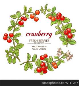cranberry vector set. cranberry branches vector set on white background