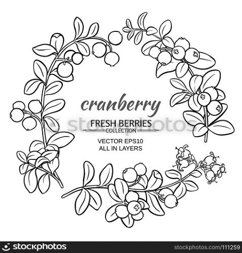cranberry vector set. cranberry plant vector set on white background