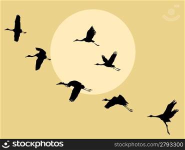 crane silhouette on solar background, vector illustration