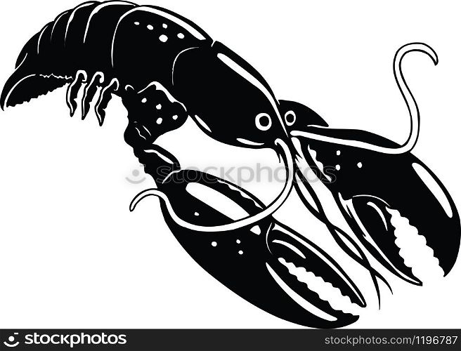 Crawfish Vector Illustration