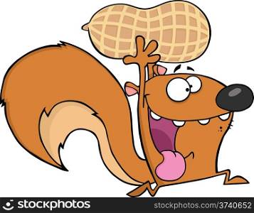 Crazy Squirrel Cartoon Mascot Character Running With Big Peanut