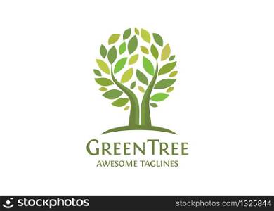 creative abstract circle tree with green leaves vector illustration