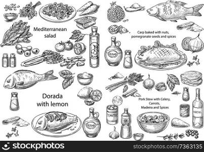 Creative conceptual vector set. Sketch hand drawn different mediterranean dishes salad chicken fish pork stew vegetables seafood illustration, engraving, ink, line art, vector.
