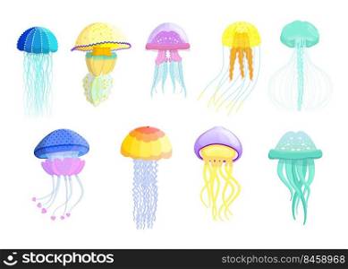 Creative different jellyfishes flat set for web design. Cartoon cute swimming marine creatures isolated vector illustration collection. Wildlife and ocean fauna concept