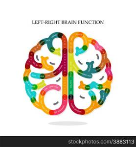 Creative infographics left and right brain function ideas on background,design for poster,flyer,cover,brochure,diagram or presentation template,education concept ,business idea.Vector illustration