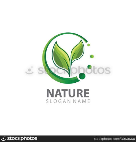 Creative Leaf Nature Logo Design Template Vector