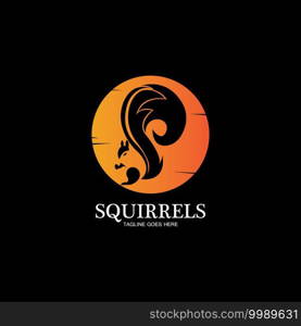 creative squirrel animal logo design icon symbol illustration-vector