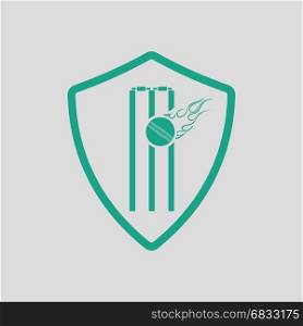 Cricket shield emblem icon. Gray background with green. Vector illustration.