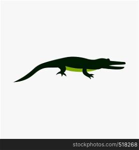 Crocodile icon in flat style isolated on white background. Crocodile icon, flat style