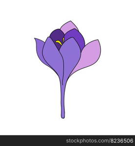 crocus bud single color  saffron flower linear drawing. Botanical illustration by line
