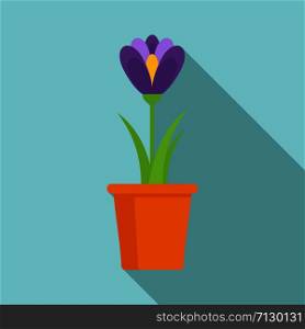 Crocus flower pot icon. Flat illustration of crocus flower pot vector icon for web design. Crocus flower pot icon, flat style