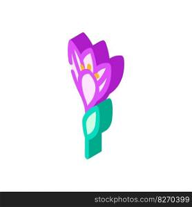 crocus flower spring isometric icon vector. crocus flower spring sign. isolated symbol illustration. crocus flower spring isometric icon vector illustration