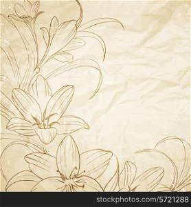 Crocus flowers pencil drawn on the old paper. Vector illustration.