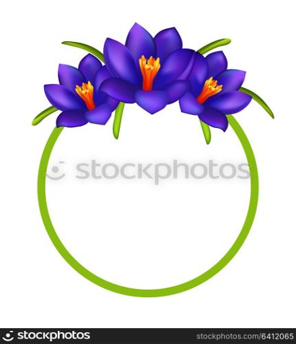 Crocus purple flowers photo frame greeting card design with place for text, round border with blooming springtime flowers vector 8 March postcard. Crocus Purple Flowers Photo Frame Greeting Design