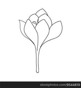 crocus saffron flower single simple drawn with a stroke. Botanical illustration vector bud icon for instagram highlights