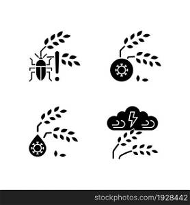 Crop loss reasons black glyph icons set on white space. Pests danger. Crop diseases. Unsafe water. Adverse weather and climate changes. Silhouette symbols. Vector isolated illustration. Crop loss reasons black glyph icons set on white space