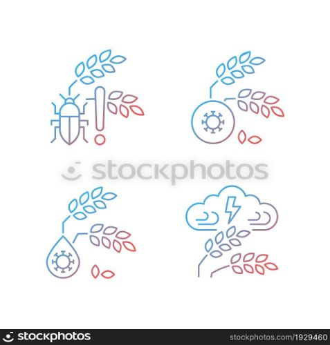 Crop loss reasons gradient linear vector icons set. Pests danger. Unsafe water. Adverse weather and climate changes. Thin line contour symbols bundle. Isolated outline illustrations collection. Crop loss reasons gradient linear vector icons set