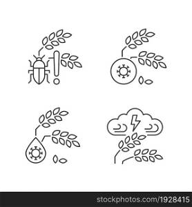 Crop loss reasons linear icons set. Pests danger. Crop diseases. Adverse weather and climate changes. Customizable thin line contour symbols. Isolated vector outline illustrations. Editable stroke. Crop loss reasons linear icons set