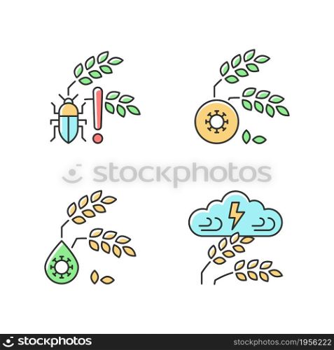 Crop loss reasons RGB color icons set. Pests danger. Crop diseases. Unsafe water. Adverse weather and climate changes. Isolated vector illustrations. Simple filled line drawings collection. Crop loss reasons RGB color icons set