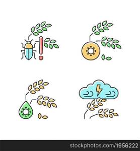 Crop loss reasons RGB color icons set. Pests danger. Crop diseases. Unsafe water. Adverse weather and climate changes. Isolated vector illustrations. Simple filled line drawings collection. Crop loss reasons RGB color icons set