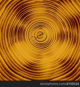 Cross section of a chopped down tree with growth rings called the art of dendrochronology