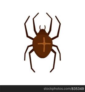 Cross spider icon. Flat illustration of cross spider vector icon for web isolated on white. Cross spider icon, flat style