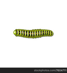 Cross-striped cabbageworm isolated caterpillar green pest. Vector cabbageworm, parasite of crop. Cabbageworm pest isolated parasite caterpillar