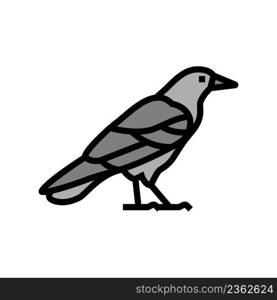crow bird color icon vector. crow bird sign. isolated symbol illustration. crow bird color icon vector illustration