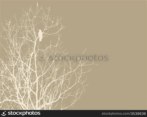 crow on branch on brown background, vector illustration