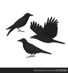 Crows.Vector illustration.. Crows.The black birds