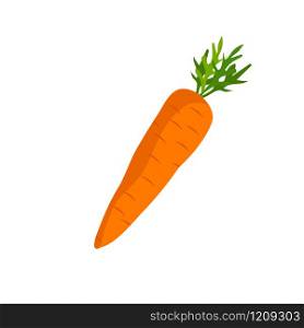 Crunchy carrot vector icon on white background.