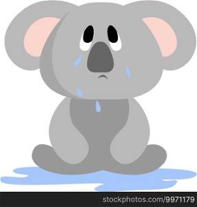 Crying koala, illustration, vector on white background